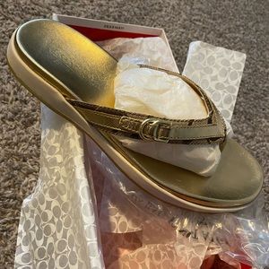 Gold Coach Flip Flops